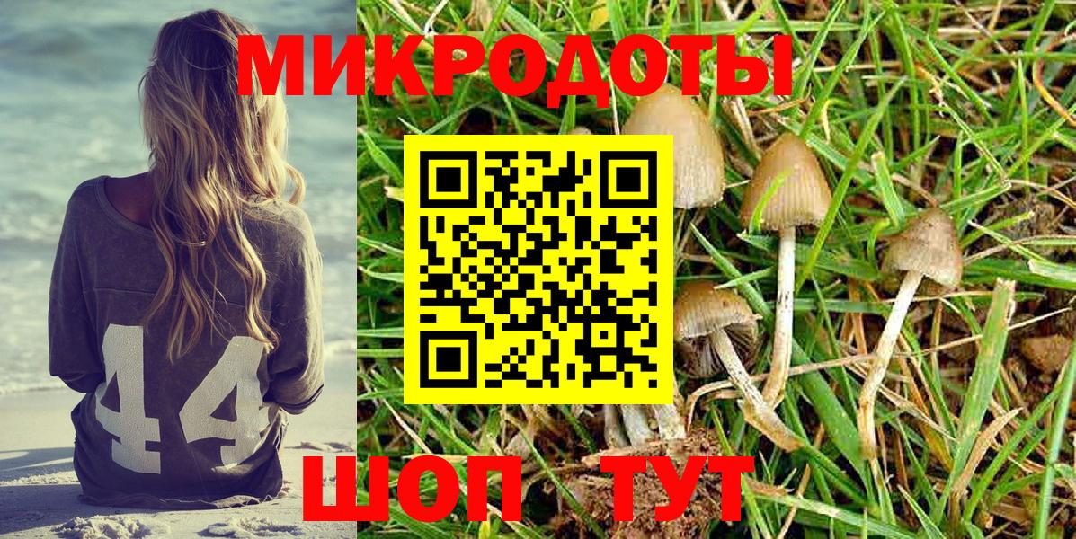 Галлюциногенные грибы Cubensis Чернушка