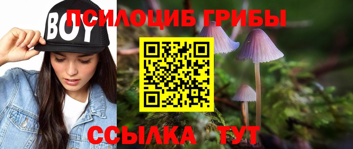 Чернушка  Галлюциногенные грибы GOLDEN TEACHER  Псилоцибиновые грибы мицелий  Вход с VPN 